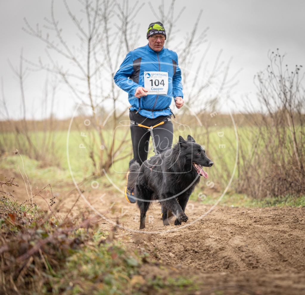 DV3A0189 | Hundefotografie, Tierfotograf, Pfotenfotografie, Fotoshooting Hund, Hunde Portrait, Hundesport, Hundeportraits, Heideshooting, Hunde, Sportfotograf, Hundefotograf, Turnierhundsport, THS,  - Realisiert mit Pictrs.com