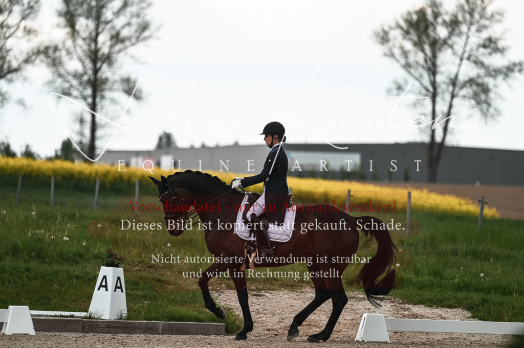 20230514_JK-Röhrsdorf-21-308 | Pferde- und Turnierfotografie in Westsachsen. Pferdeportraits, Auftragszeichnungen und intuitive Kunst.