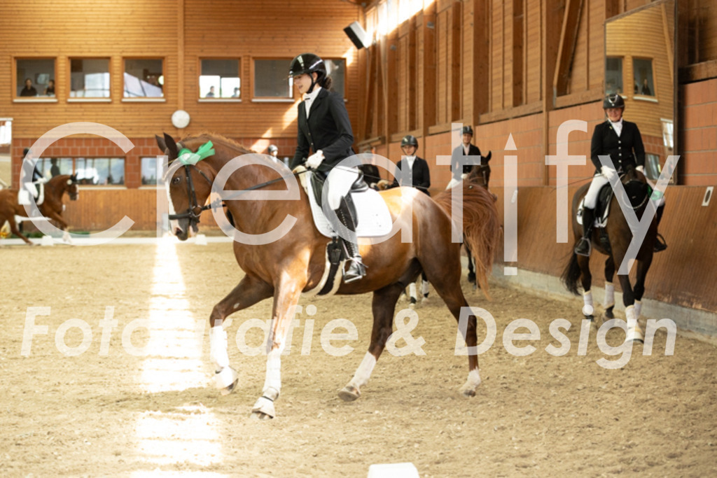 IMG_6325 | Creatify Fotografie