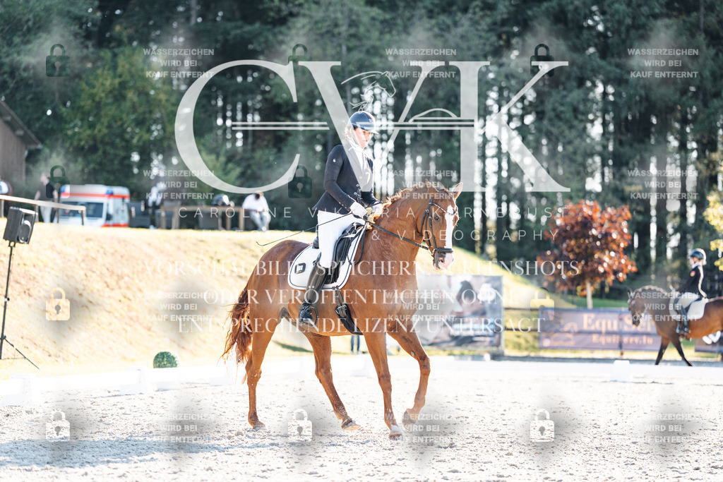 CK906979 | Turnierfotografie Pferdefotografie Trier Rheinland-Pfalz Pferdesport Reitsport Tierfotografie Sportfotografie Pferdevideo Pferdevideografie Equestrianvideography equestrianphotography  - Realisiert mit Pictrs.com