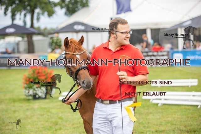 LTN STUTEN (914) | mandyhollmannphotographie