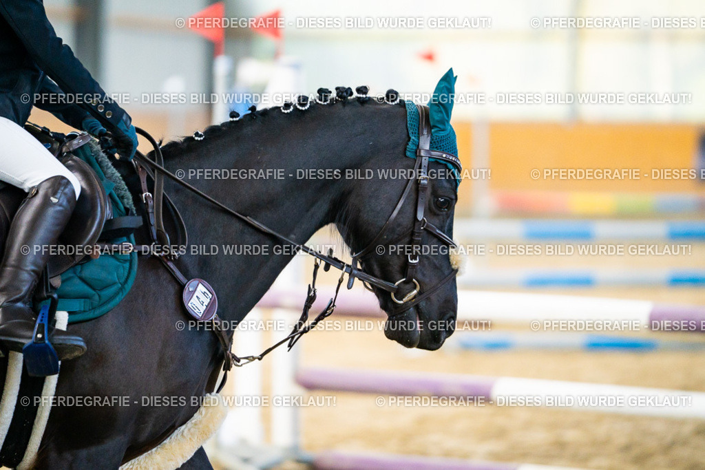 DSC00487 | Pferdegrafie