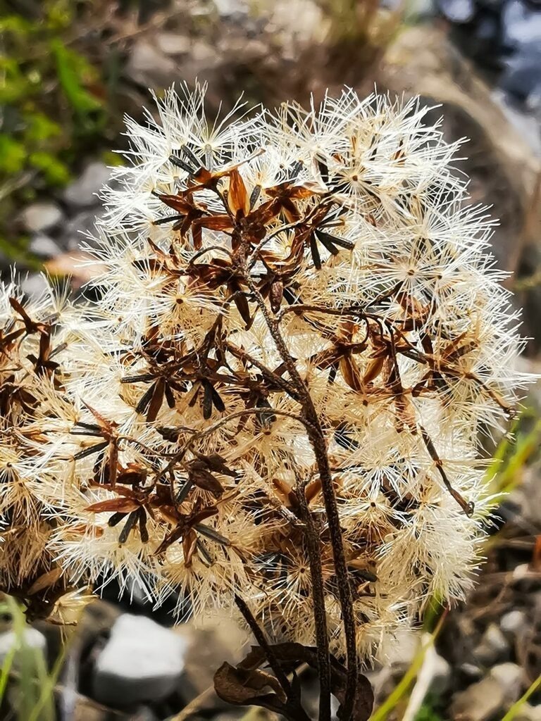 PSX_20221107_220451 | mtkfoto_ - Realisiert mit Pictrs.com