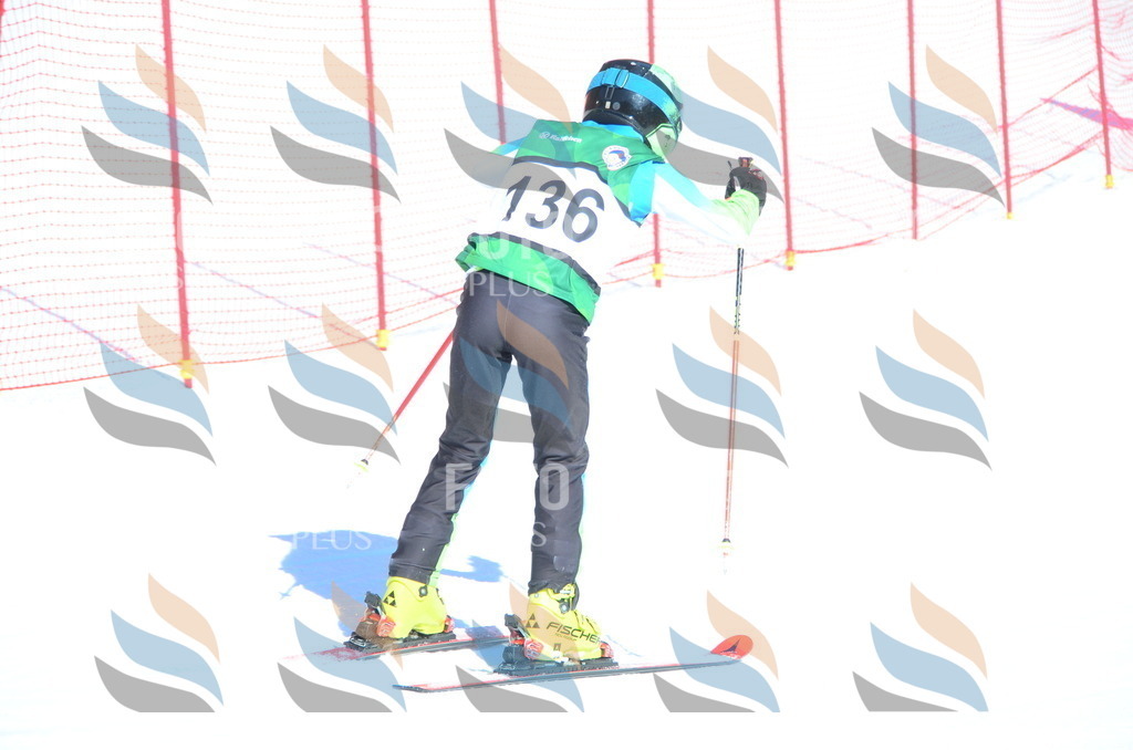 C6008 | holidayphoto