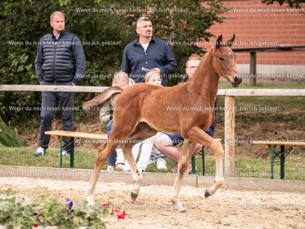 A10I6087 | photographylinaismer - Realisiert mit Pictrs.com