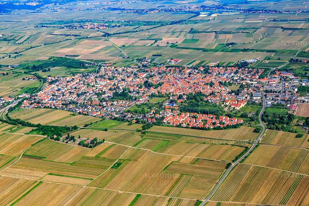 Luftbild: Ortsübersicht aus Südosten in Freinsheim im Bundesland Rheinland-Pfalz in Deutschland. Foto: IMG_078761.jpg vom 13.05.2015 durch Werner Riehm/FLY-FOTO.de