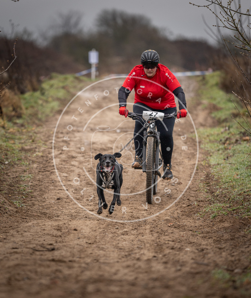 DV3A9023 | Hundefotografie, Tierfotograf, Pfotenfotografie, Fotoshooting Hund, Hunde Portrait, Hundesport, Hundeportraits, Heideshooting, Hunde, Sportfotograf, Hundefotograf, Turnierhundsport, THS,  - Realisiert mit Pictrs.com
