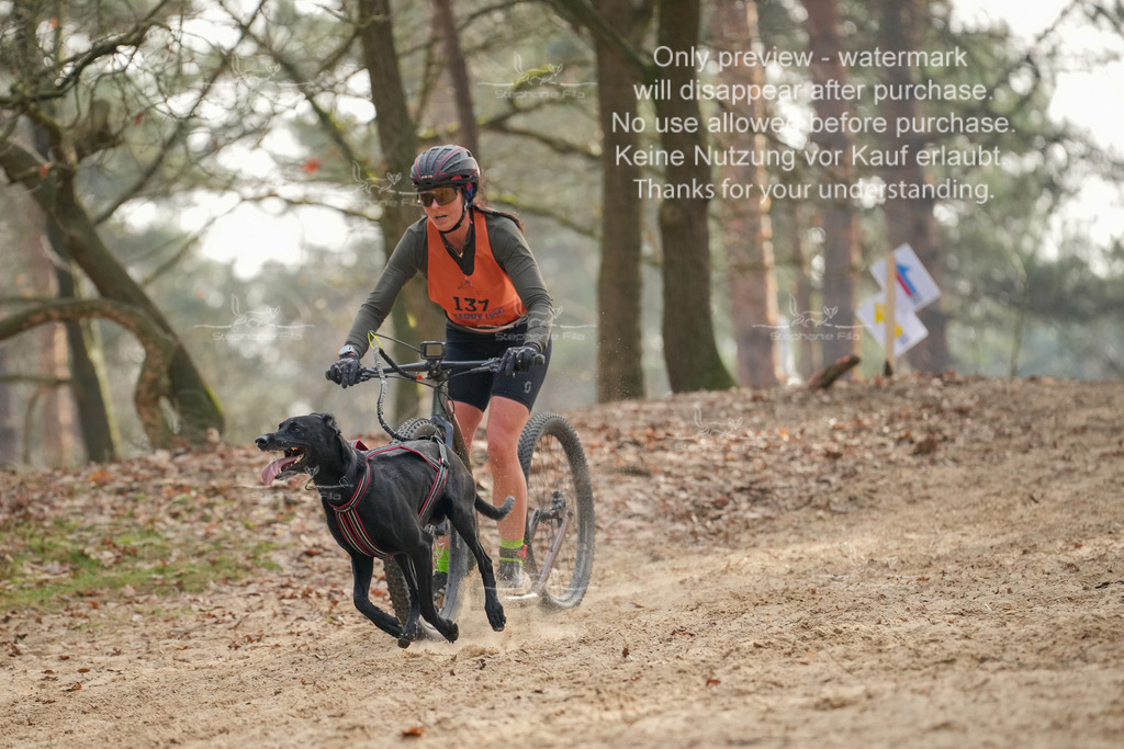 Bike1-411 | stephaniefillaphotographie - Realisiert mit Pictrs.com