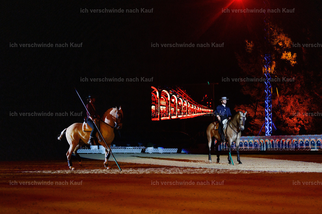 FHClassics-172 | working equitationturnier fotograf videograf stoibphotography marixx film working equitation deutschland reitsport turnierfotografie eventfotografie equestrian events