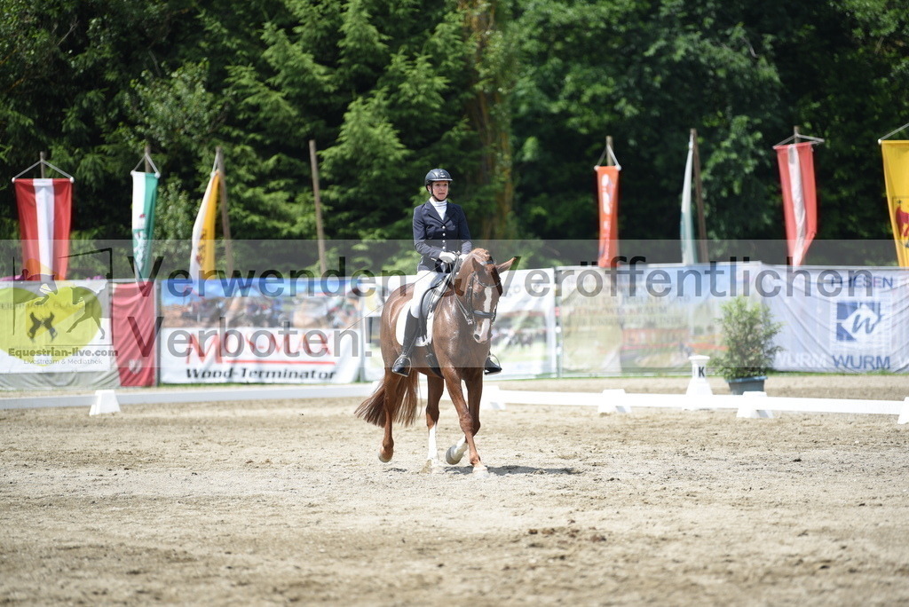 DSC_9061 | equestrian-live-com