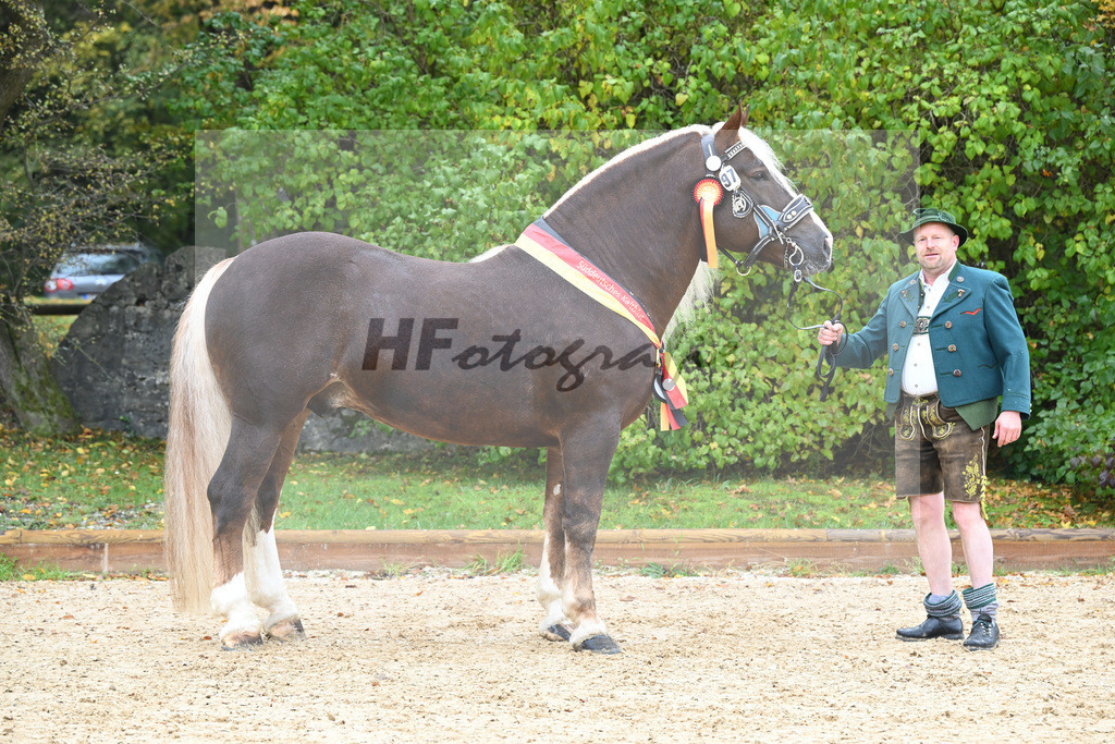 Kat-Nr. 97 Verry_Woerndl_53223111 | hf-fotografie - Realisiert mit Pictrs.com