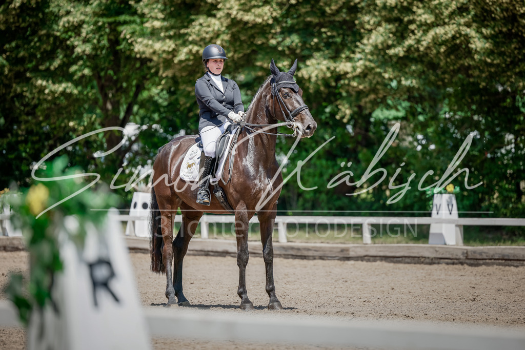 20250621-_3LI7804 | Tierfotografie Pferde, Hunde, Katzen, Haustiere.
Turnierfotografie Reitturniere, Reiten, Springreiten, Dressur in Hanau, dem Main-Kinzig-Kreis und dem Rhein-Main- Gebiet um Frankfurt