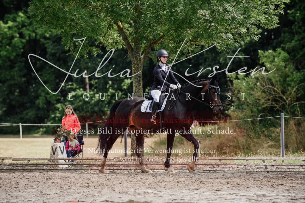 DSC_0601 | Pferde- und Turnierfotografie in Westsachsen. Pferdeportraits, Auftragszeichnungen und intuitive Kunst.