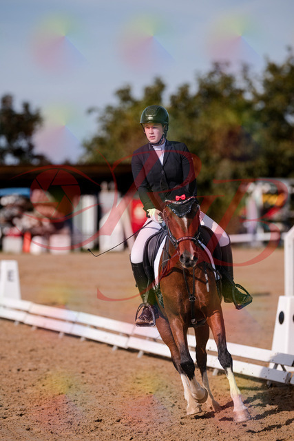 2026_10_03_Siefer-Hof_115754_Z81_99612103 | Professionelle Reitsport-, Turnier- und Eventfotografie von Robert Broda. Galerien mit ausgewählten und bearbeiteten Bildern direkt online ansehen und bestellen.