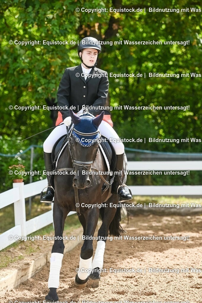 20230716_10-1_Reiter-WB Schritt - Trab - Galopp_0149 | equistock
