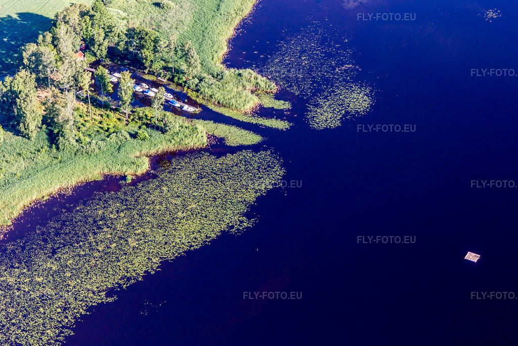 Vue aérienne: Les rives du lac Åsnen (Småland), aux eaux couleur lande, sont bordées de nénuphars et l'aire de baignade est aménagée. à Grimslöv dans le département Kronobergs län, Suède. Photo: IMG_108184.jpg prise le 28/06/2018 par Werner Riehm/FLY-FOTO.euRésolution de l'original: 4996 x 3330 px