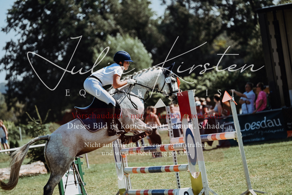 DSC_6126 | Pferde- und Turnierfotografie in Westsachsen. Pferdeportraits, Auftragszeichnungen und intuitive Kunst.