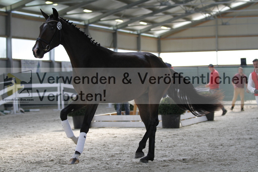 _MG_9822 | equestrian-live-com