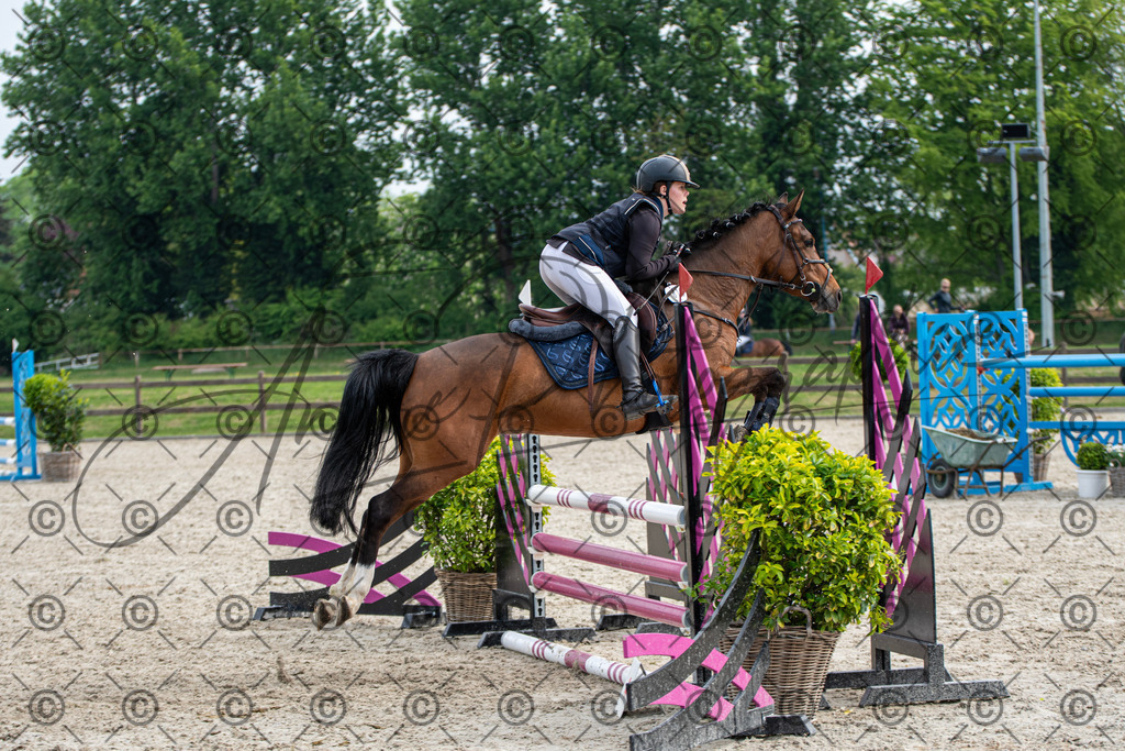 KPT_2396 | andre_photographic