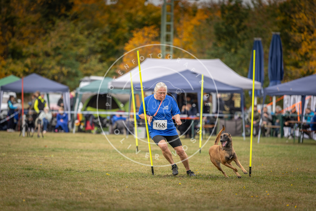 Pfotenfotografie_DV3A5933 | Hundefotografie, Tierfotograf, Pfotenfotografie, Fotoshooting Hund, Hunde Portrait, Hundesport, Hundeportraits, Heideshooting, Hunde, Sportfotograf, Hundefotograf, Turnierhundsport, THS,  - Realisiert mit Pictrs.com