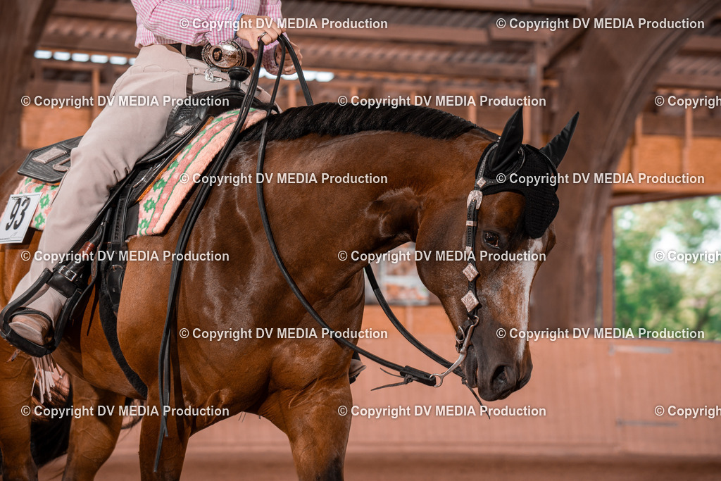 NE100214 | dv-media-shop - Realisiert mit Pictrs.com