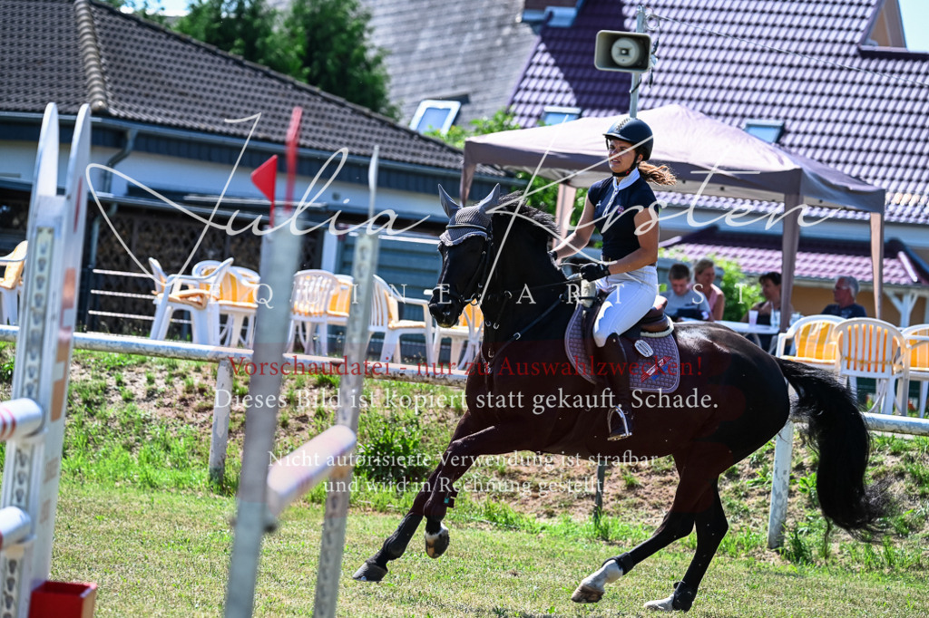 DSC_1046 | Pferde- und Turnierfotografie in Westsachsen. Pferdeportraits, Auftragszeichnungen und intuitive Kunst.