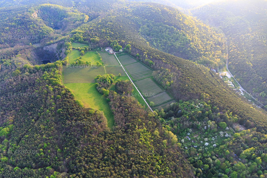Luftbild: Weingut Odinstal in einer Lichtung auf den Höhen des Pfälzerwalds in Wachenheim an der Weinstraße im Bundesland Rheinland-Pfalz in Deutschland. Foto: IMG_106737.jpg vom 21.04.2018 durch Werner Riehm/FLY-FOTO.deWeingut Odinstal - Wachenheim an der Weinstraße