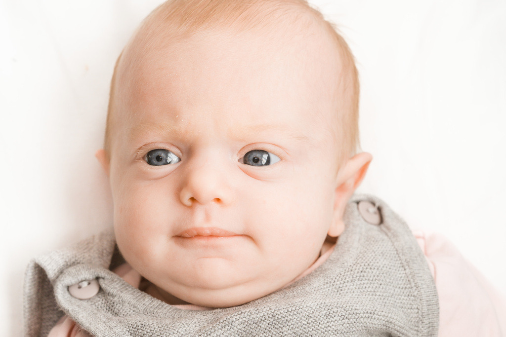 ZD260215155053 | Fotoshop von zweidimensional Fotografie. Ihr Fotograf im Aargau. Abzüge von Ihrem Fotobox Event bestellen.Abzüge von Ihrem Hochzeit bestellen.Abzüge von Ihrem Schulfotograf bestellen.