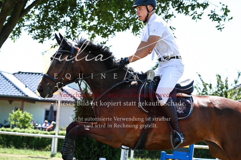 DSC_0381 | Pferde- und Turnierfotografie in Westsachsen. Pferdeportraits, Auftragszeichnungen und intuitive Kunst.