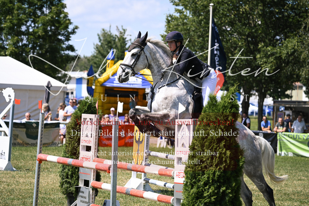 DSC_0089 | Pferde- und Turnierfotografie in Westsachsen. Pferdeportraits, Auftragszeichnungen und intuitive Kunst.