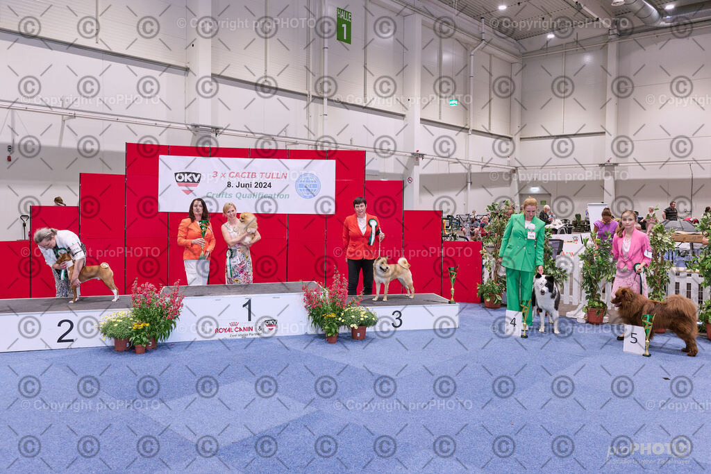 202406_ÖKV-IHA-Tulln24_NZ9_8695 | proPHOTO - Realisiert mit Pictrs.com