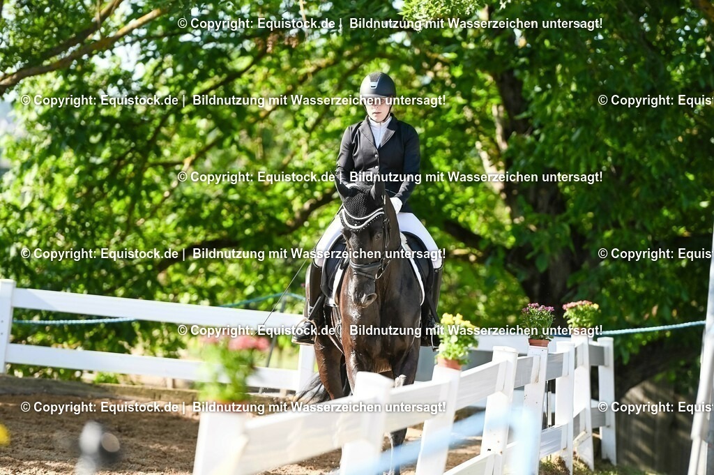 20230715_06_Dressurpferdeprfg. Kl.A_0066 | equistock
