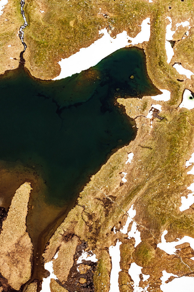 dr__0026363.jpg | RANEBURGER SEE 25.06.2019 Uferbereiche am Seegebiet des Raneburger See in den Alpen in Tirol, Österreich. // Riparian areas on the lake area of Raneburger See in a forest area in in Tirol, Austria. Foto: Daniel Reiter