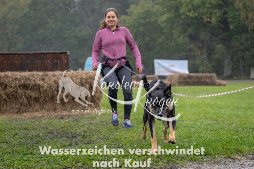 1259-92865 | kk-dogfotos