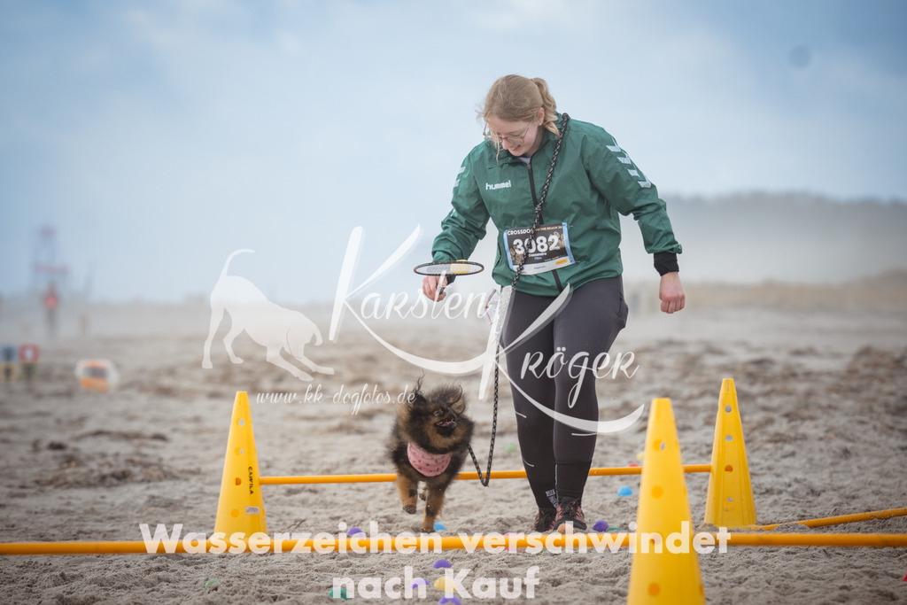 1204_ZZ93863 | kk-dogfotos