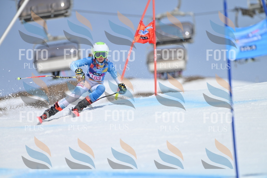 BGV_0665 | holidayphoto