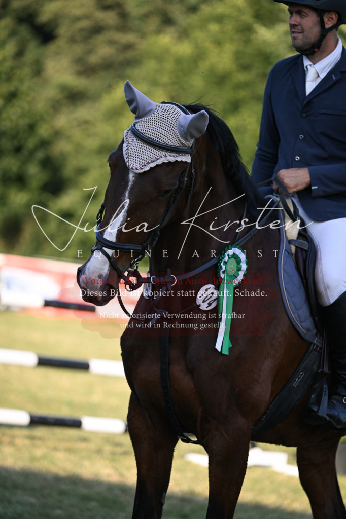 DSC_1887 | Pferde- und Turnierfotografie in Westsachsen. Pferdeportraits, Auftragszeichnungen und intuitive Kunst.
