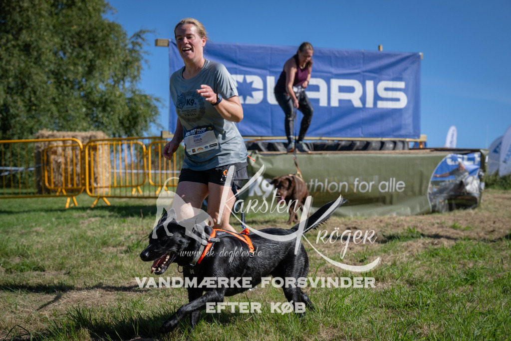 1010_ZZ97786 | kk-dogfotos