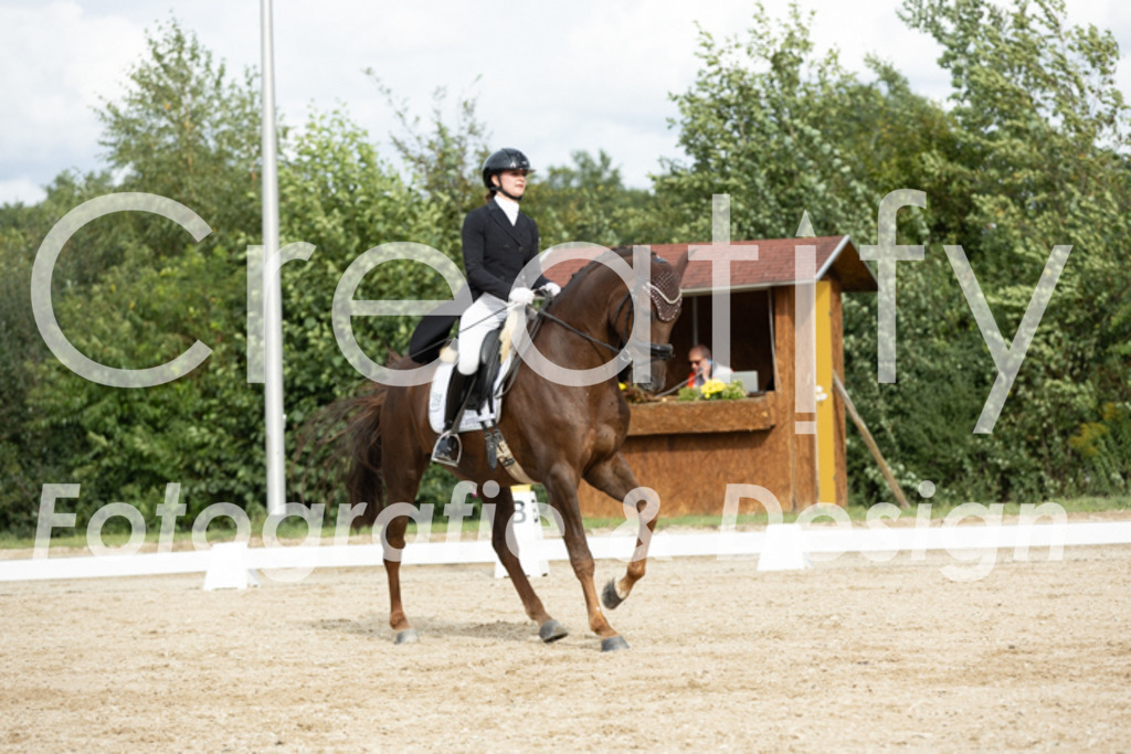 IMG_6936 | Creatify Fotografie