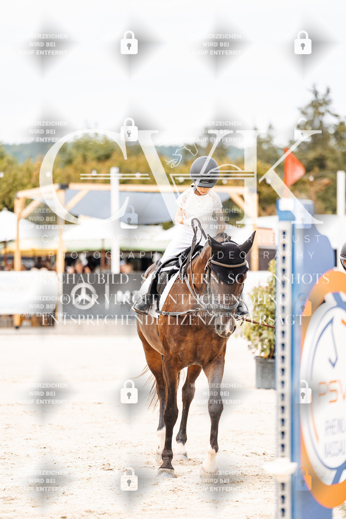 CK907086 | Turnierfotografie Pferdefotografie Trier Rheinland-Pfalz Pferdesport Reitsport Tierfotografie Sportfotografie Pferdevideo Pferdevideografie Equestrianvideography equestrianphotography  - Realisiert mit Pictrs.com