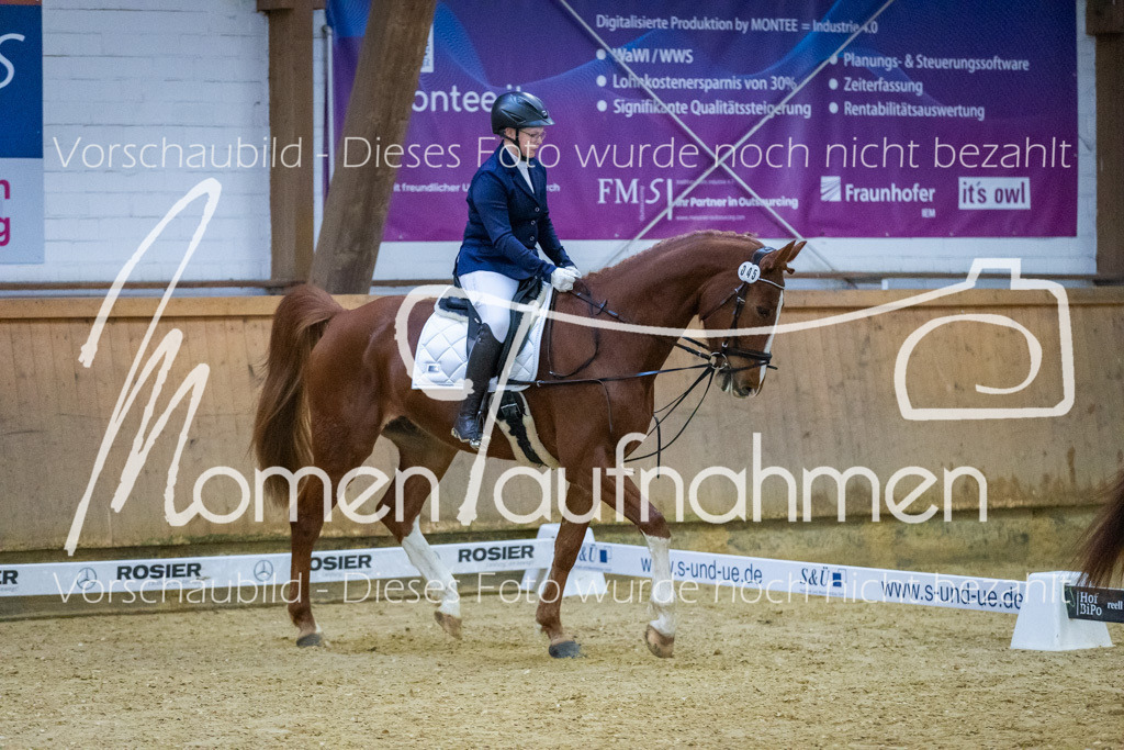 Sth-WBO25-DrR-059 | MomenTaufnahmen Pferdesportfotos