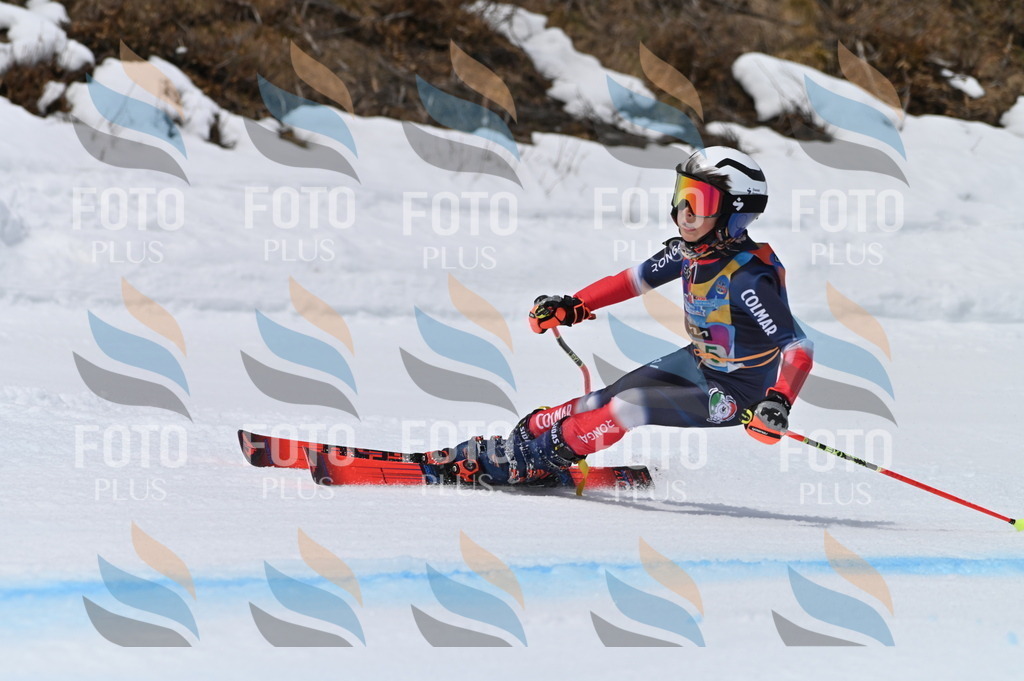 BGV_4185 | holidayphoto