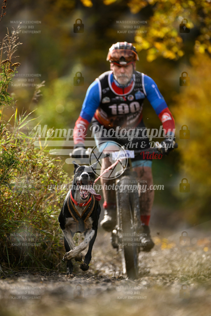 MompixPhotography_ICF_WC_2024_SA_Bike_-301 | PayLife
