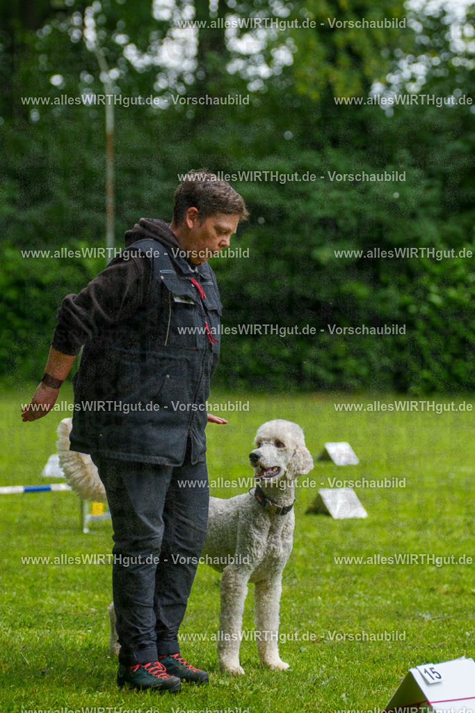 @allesWIRTHgut_Tierfotografie - www.allesWIRTHgut.de - 7R503601 | Professionelle Tierfotografie in Mönchengladbach von Daniel Wirth (allesWIRTHgut). Liebevolle & natürliche Bilder von Hunden & Katzen für unvergessliche Erinnerungen.