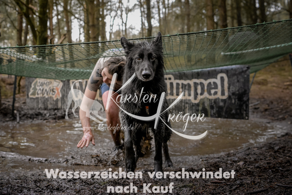 0955_ZZ98794 | kk-dogfotos