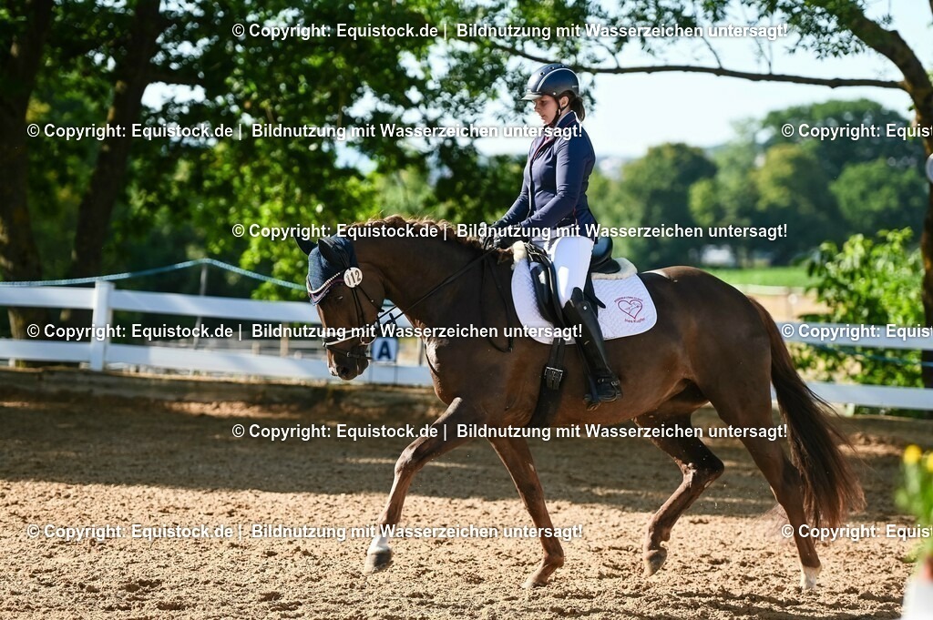 20230715_06_Dressurpferdeprfg. Kl.A_0135 | equistock