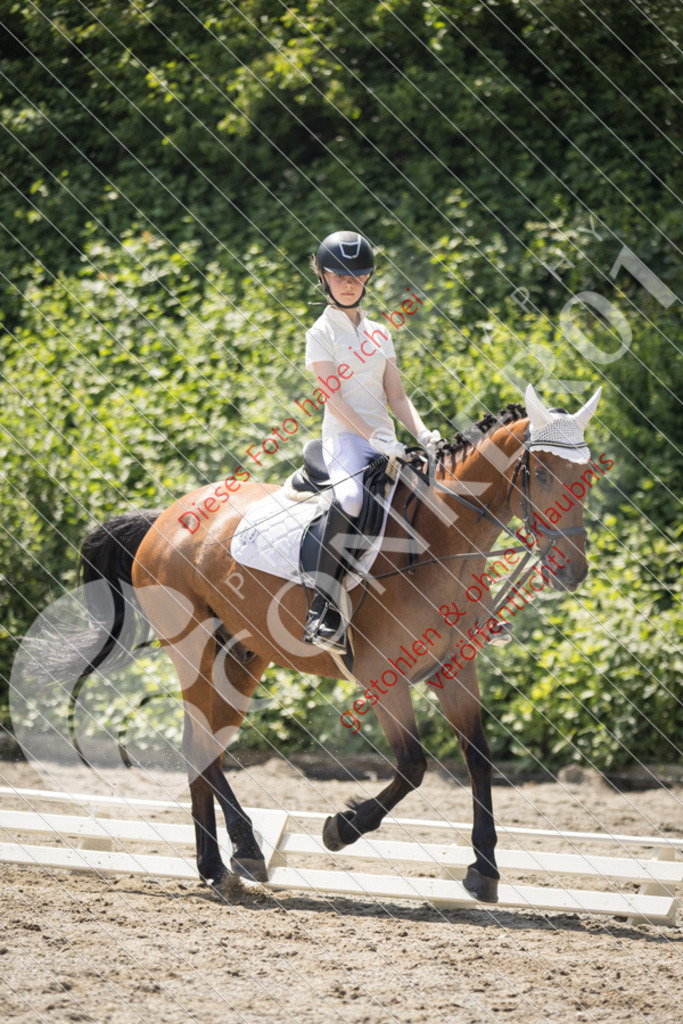 IMG_4602 | Sport-, Event- und Tierfotos in Profiqualität. Einfach auswählen, bestellen und herunterladen. Dein Moment – perfekt festgehalten.