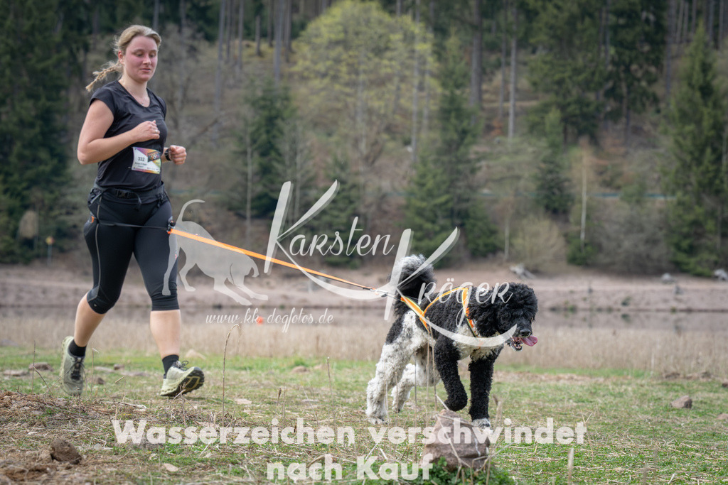 1831_ZZ98857 | kk-dogfotos
