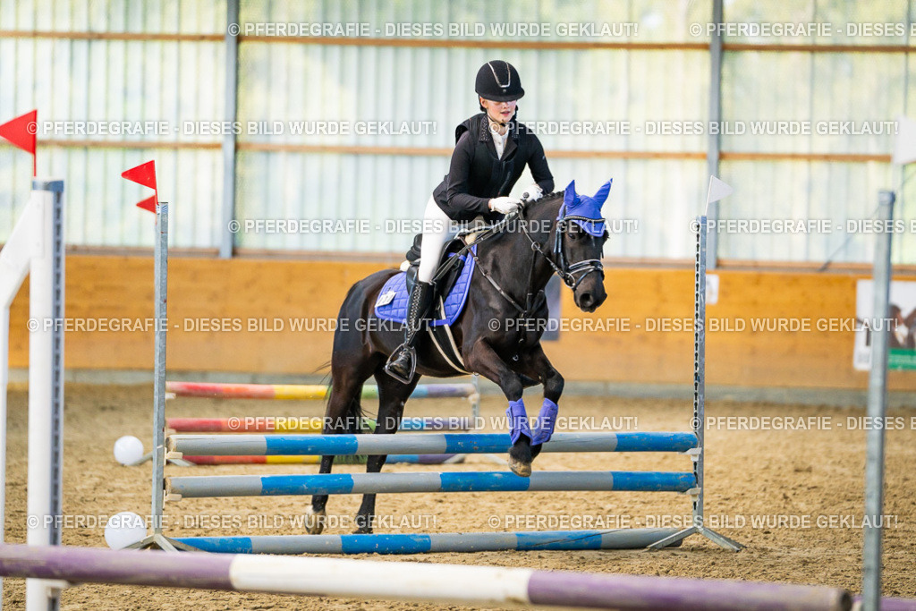 DSC01223 | Pferdegrafie