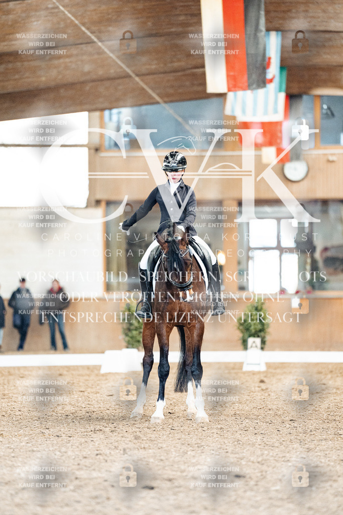 CK909817 | Turnierfotografie Pferdefotografie Trier Rheinland-Pfalz Pferdesport Reitsport Tierfotografie Sportfotografie Pferdevideo Pferdevideografie Equestrianvideography equestrianphotography  - Realisiert mit Pictrs.com